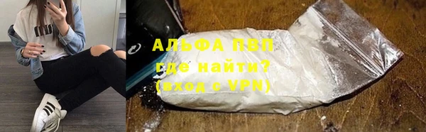 PSILOCYBIN Гусь-Хрустальный