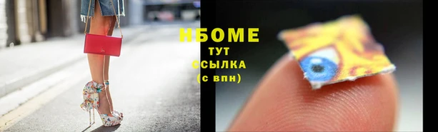 apvp Гусев