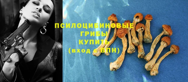 мяу мяу мука Гусиноозёрск