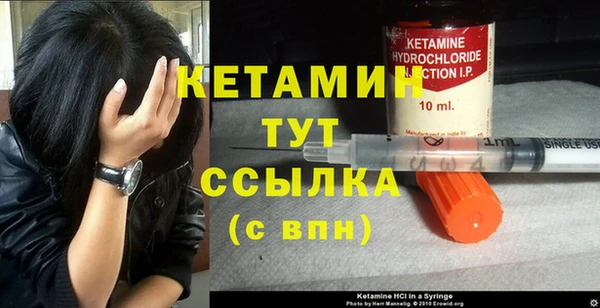 apvp Гусев