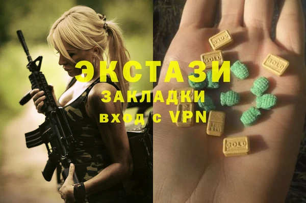 apvp Гусев